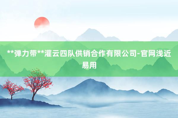**弹力带**灌云四队供销合作有限公司-官网浅近易用