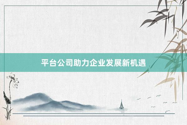平台公司助力企业发展新机遇