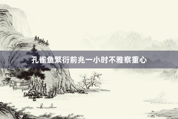 孔雀鱼繁衍前兆一小时不雅察重心