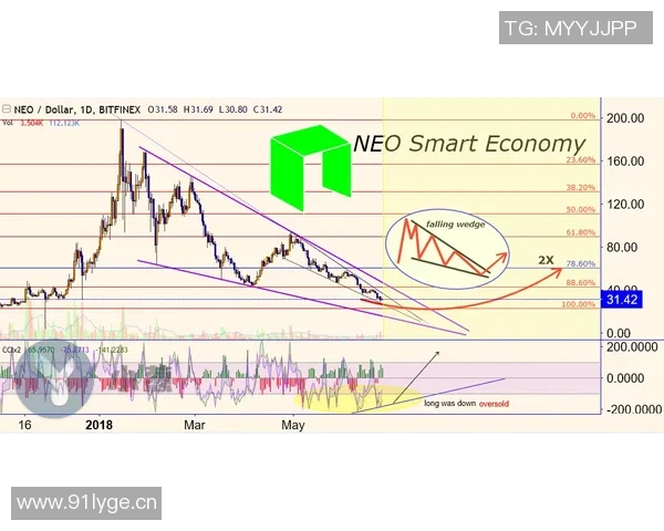 全球视野下的国际合作与发展趋势分析：挑战、机遇与未来路径